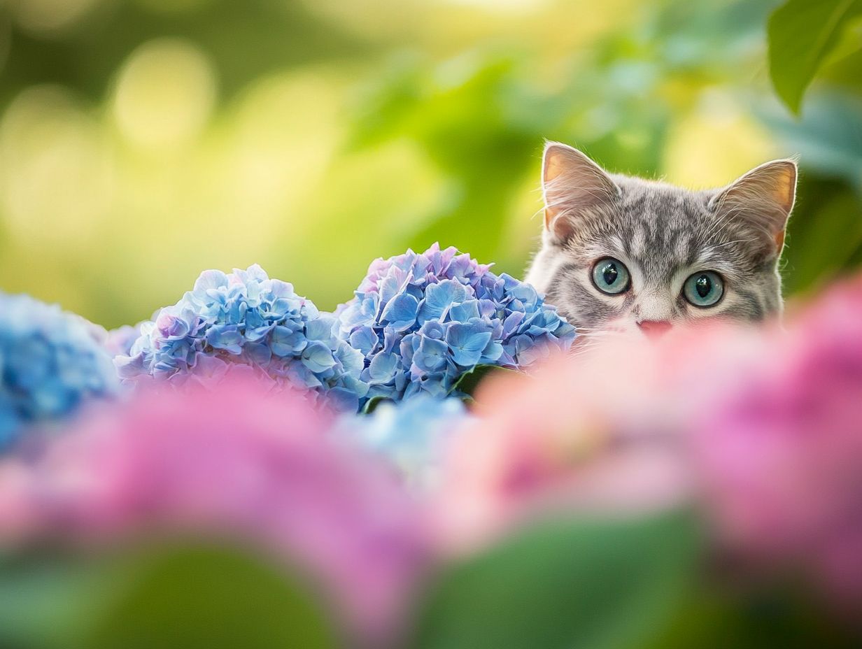 Frequently Asked Questions About Hydrangeas and Pet Safety